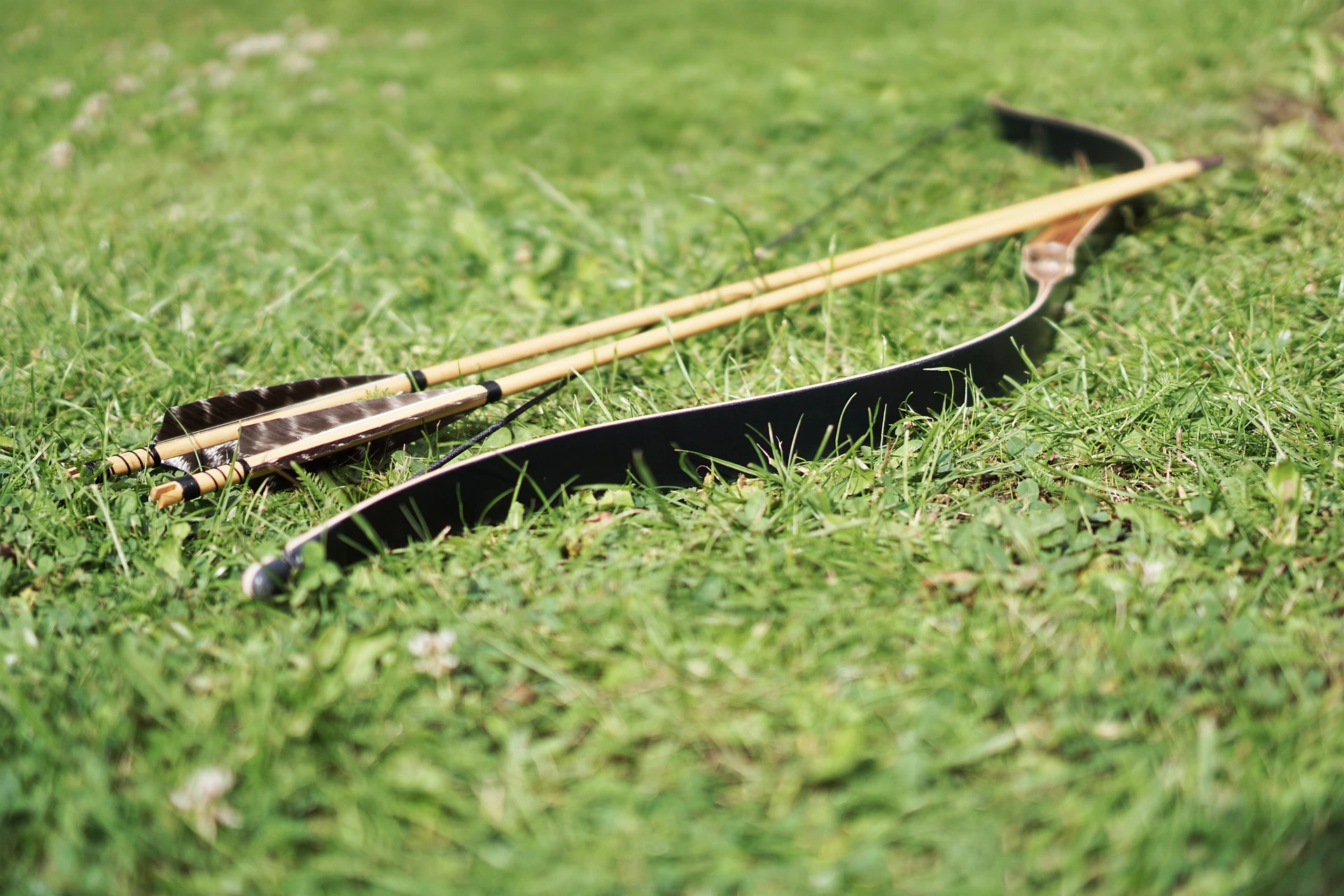 Bow and arrows on a grass